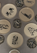 Prowl Dinner Set of 6