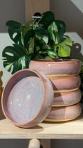 Cherry Blossom Bowls